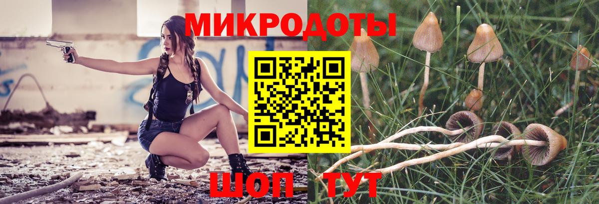 Галлюциногенные грибы мухоморы  Вход с VPN  как найти   Псилоцибиновые грибы мухоморы  Гусь-Хрустальный 